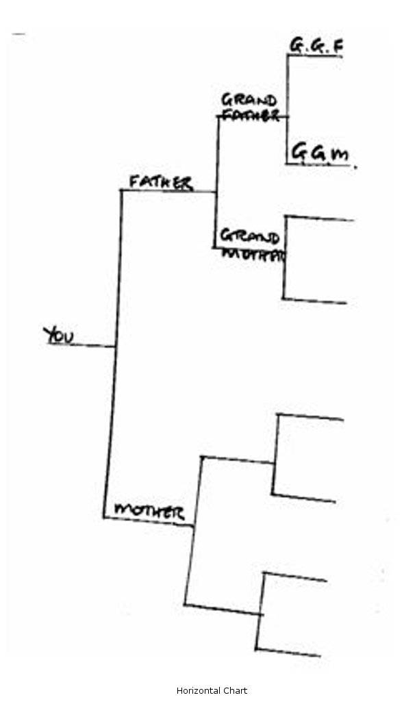 Horizontal Chart
