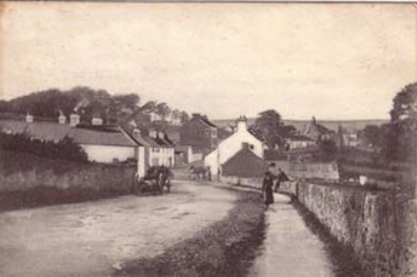 Newtown Mount Kennedy