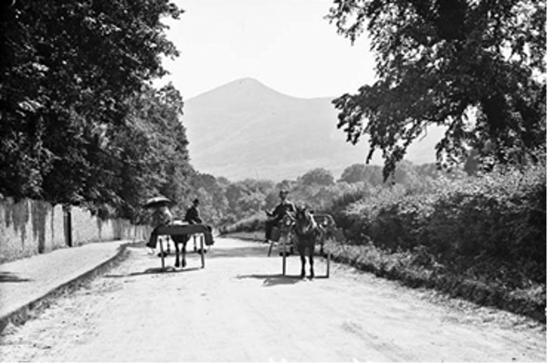 Sightseers in Glen of the Downs