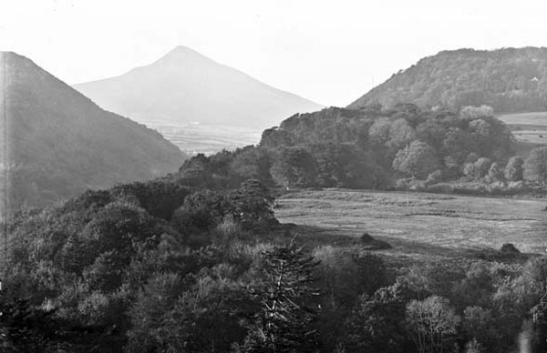 Small Glen of the Downs