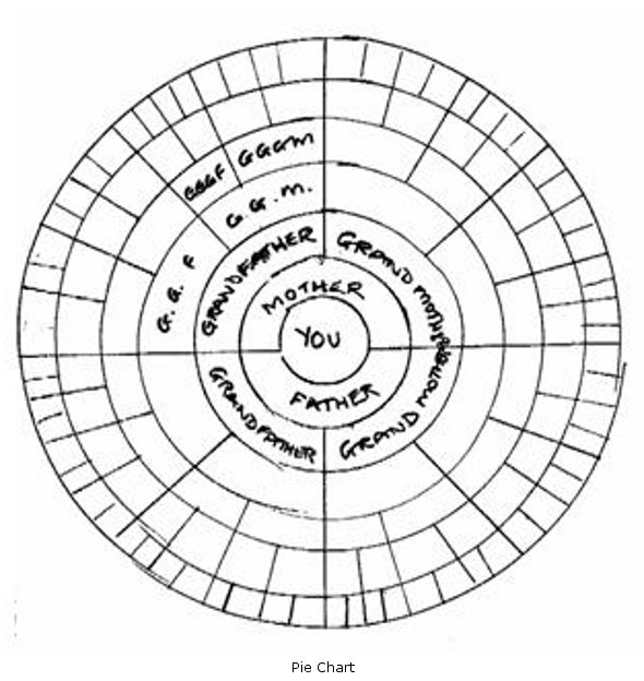 Pie Chart