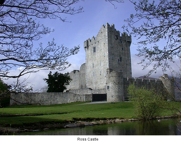 Ross Castle (killarneynationalpark.ie)
