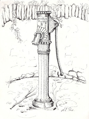 Water Pump Delgany