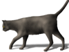 Captcha image 6116