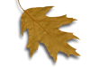 Captcha image 2358