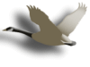 Captcha image 2251