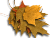 Captcha image 2351