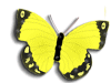 Captcha image 6633