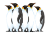 Captcha image 2966